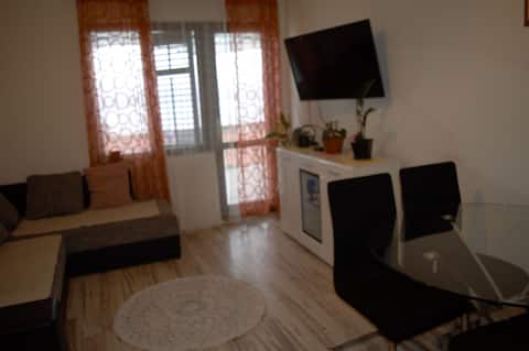 Successful Airbnb property: Apartmants Suco 4+ 1 in Čelina