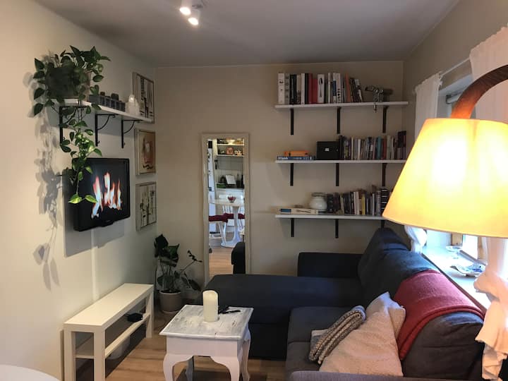 Perfect Downtown Apartment By Hlemmur • Sleeps 4 - Island