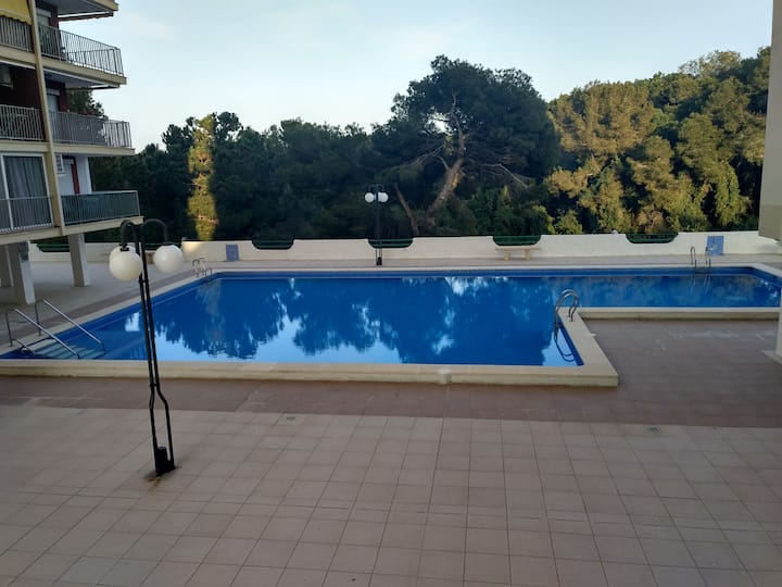 Apartamento En Embarcadero De La Albufera,el Saler - Valencia