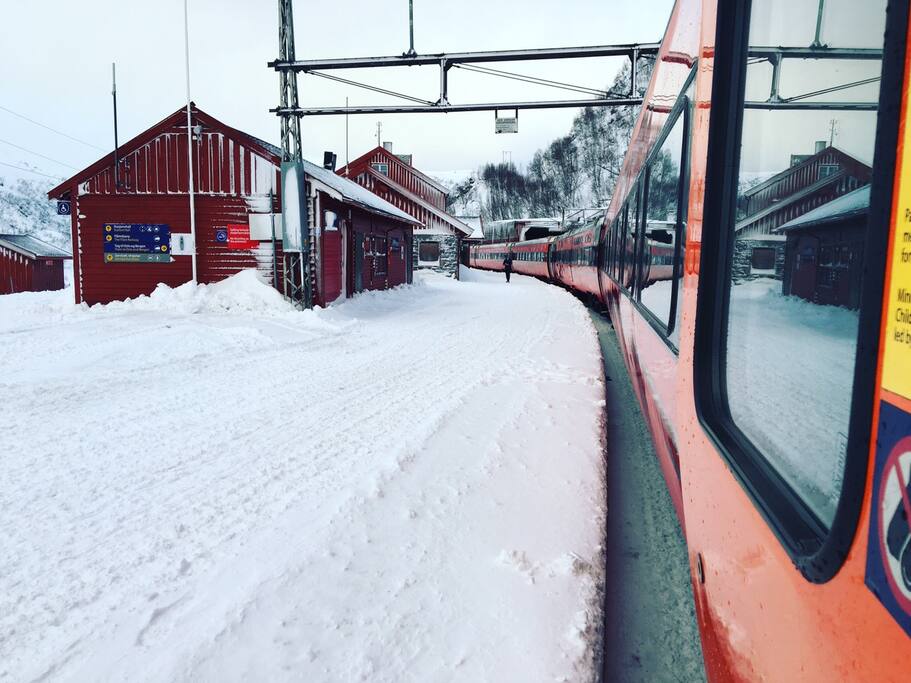 世界最美雪国列车 卑尔根 奥斯陆 挪威旅游攻略 尽在airbnb爱彼迎