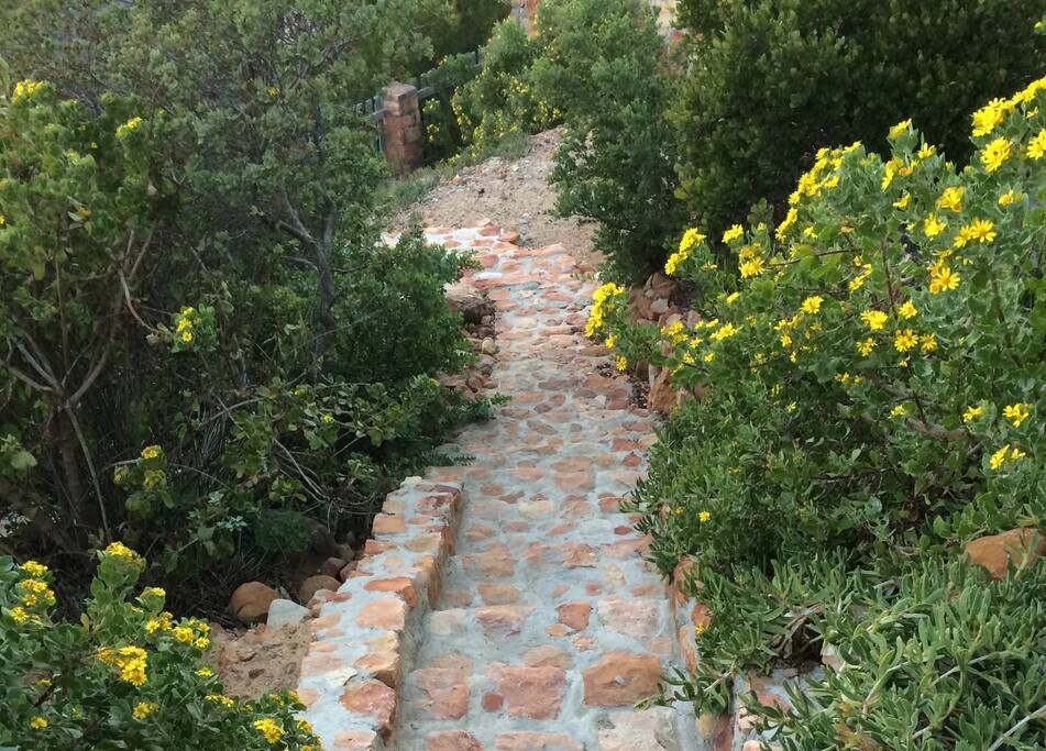 Rockery garden