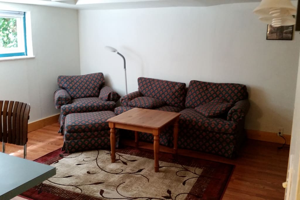 Living room, nice natural light, breakfast bar