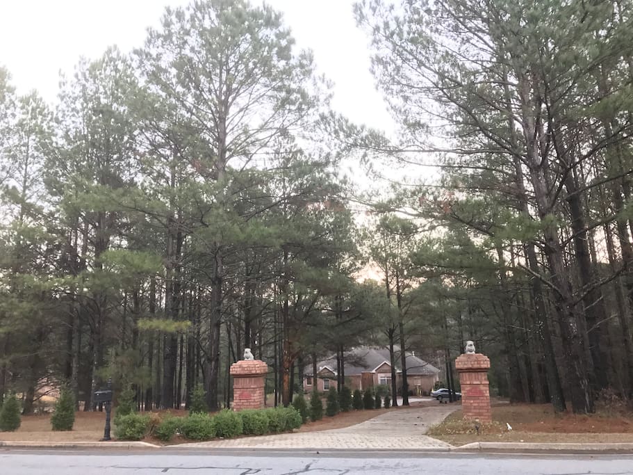 Driveway entrance, bulldogs on the brick pillars.