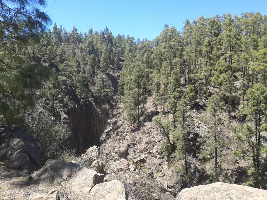 Espacio perfecto para practicar escalada, rapels...