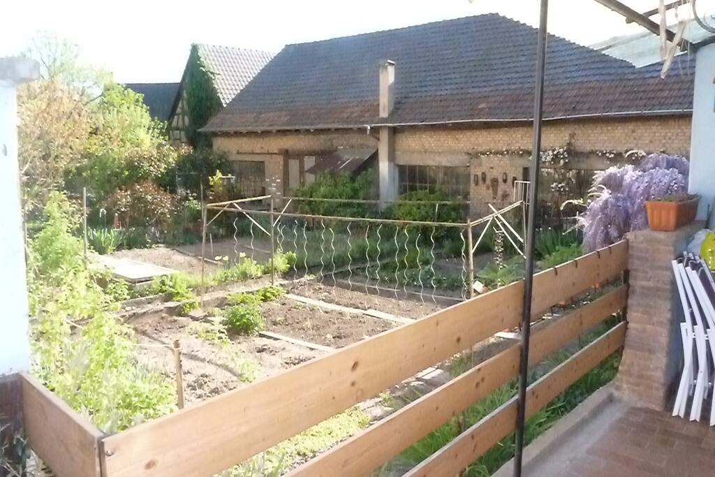 vue depuis la terrasse