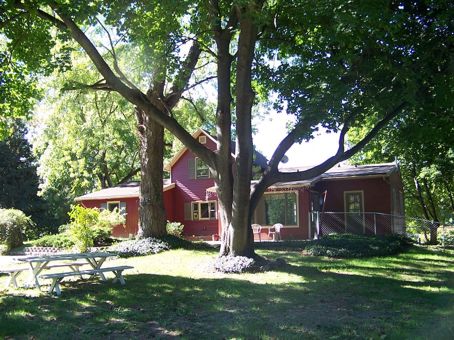 Large, stately trees