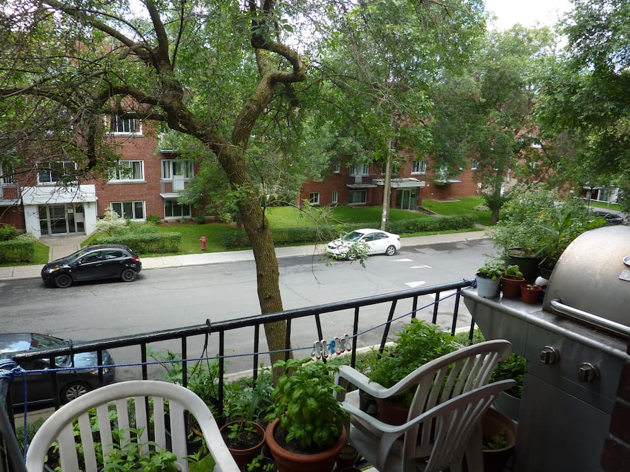 ... au balcon! Avec le barbecue et une forêt de... <--> ... to the balcony! With the barbecue and a forest of...