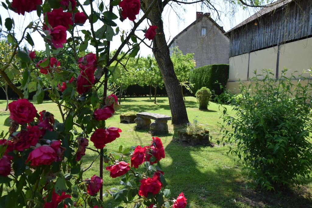 Le jardin