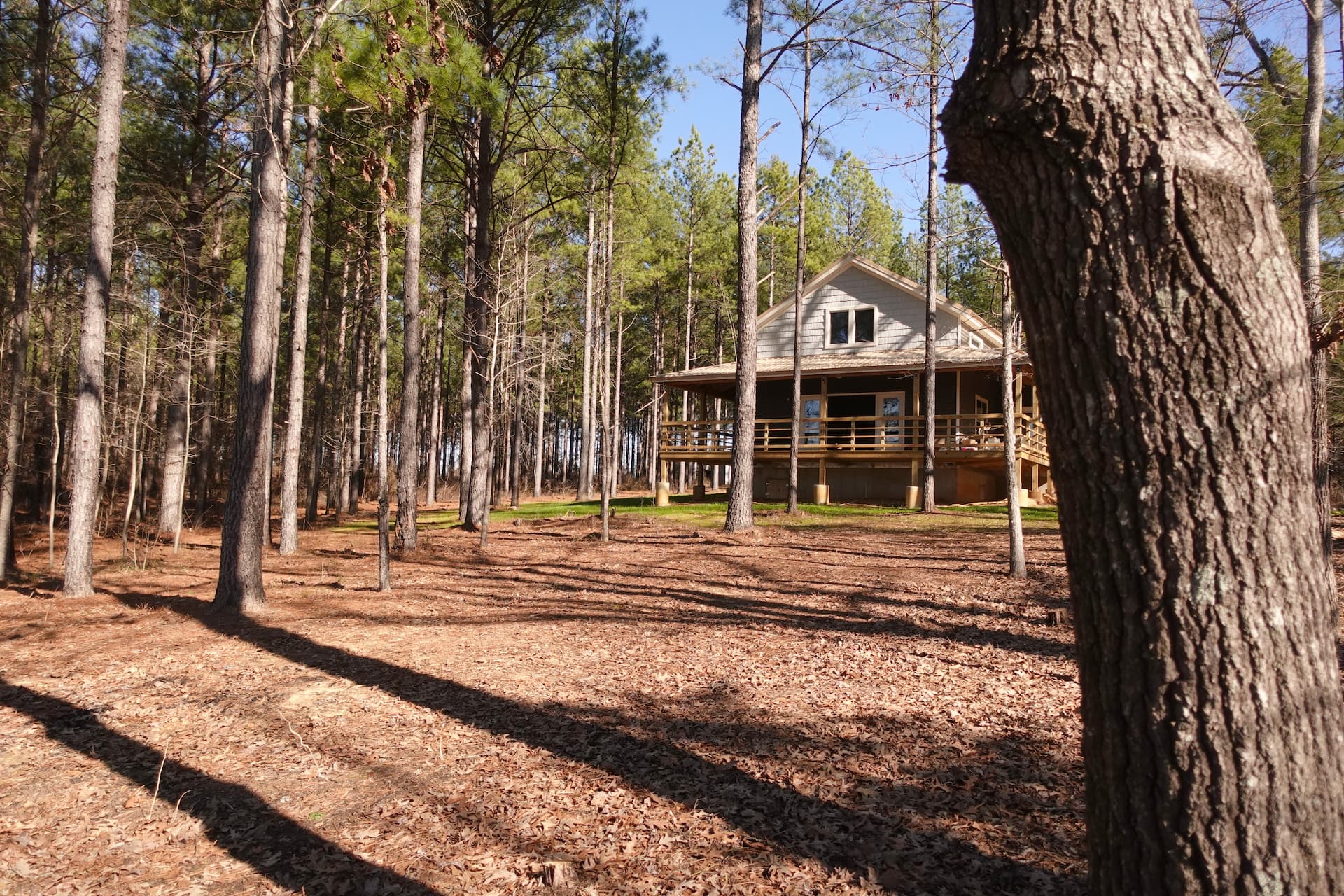Cabine de luxo Lakeside em 125 acres (20 min para MSU) - Capacidade 6
