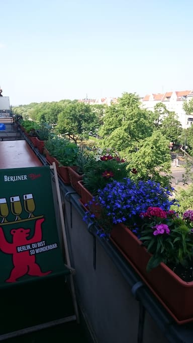 Der Balkon im Sommer