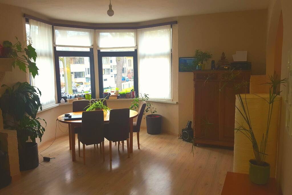 Hoekappartement met ramen. Veel licht inval en leuke uitkijk.