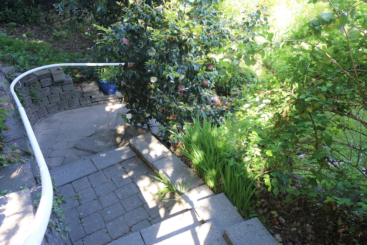 Urban Oasis