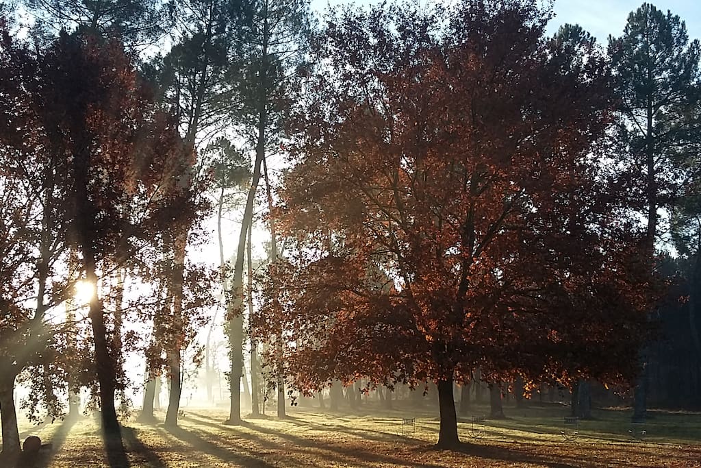Le parc en automne.