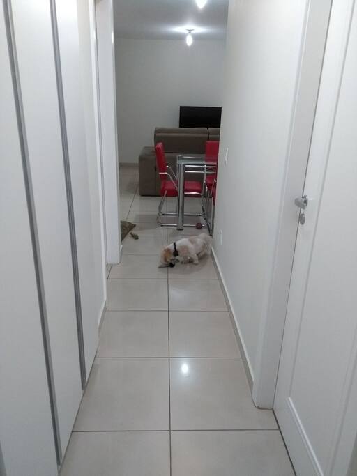 Sim, tenho um cachorro