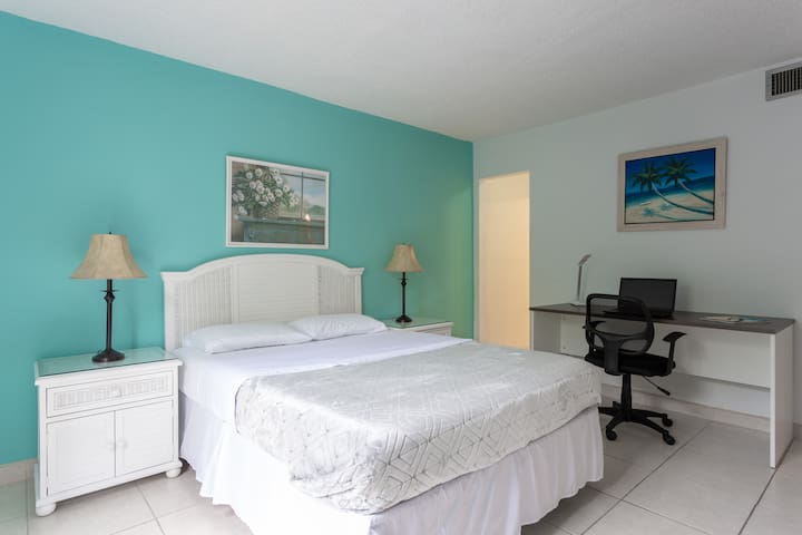 Master bedroom with private bathroom