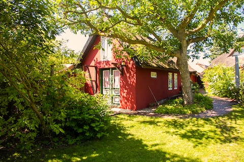 Successful Airbnb property: Paula vacation home for 2 people in Wustrow