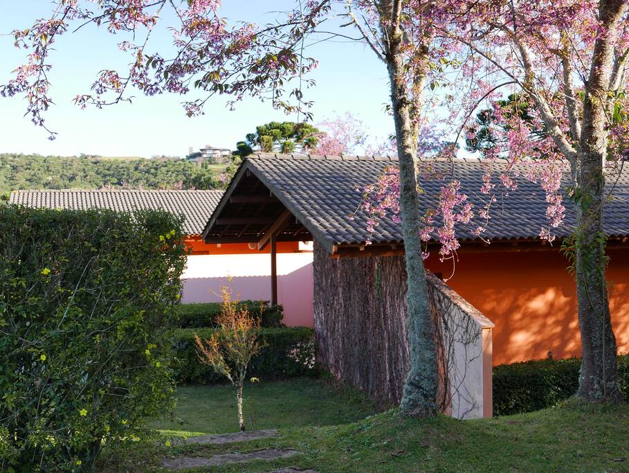 Vista das casas