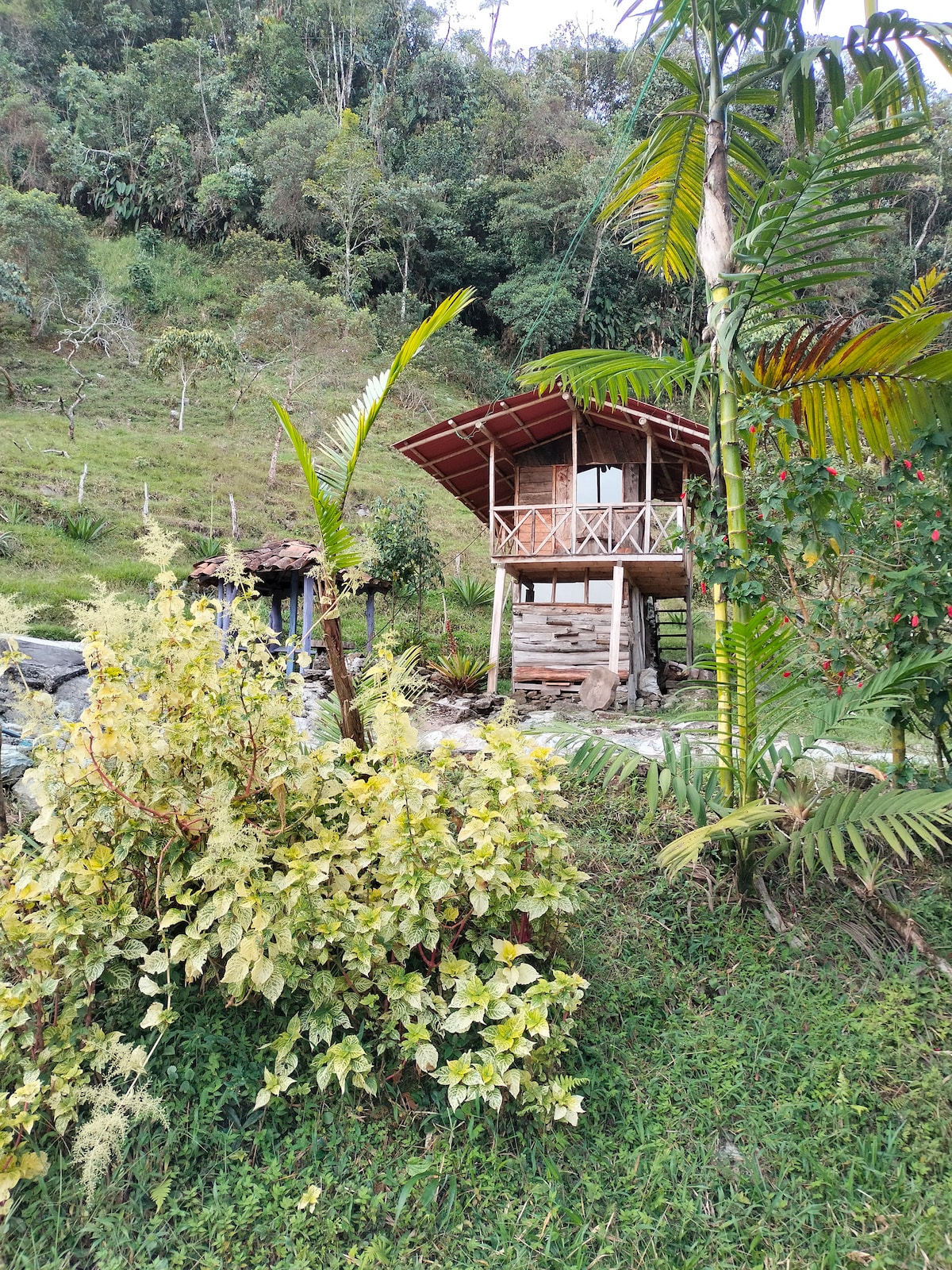 A charming wooden cabin is nestled on a hillside surrounded by lush greenery. The structure features a large terrace with a railing, overlooking the vibrant plants and trees that define the landscape. The natural setting creates a serene environment.