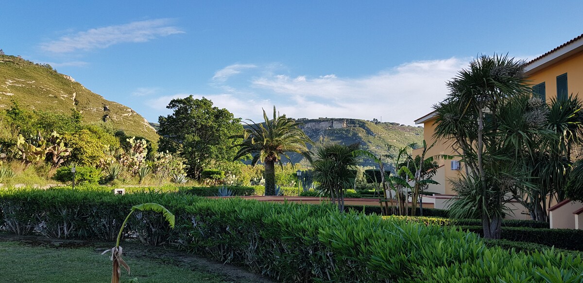 MARASUSA Floreal Frangipani in Parghelia — property photo 9