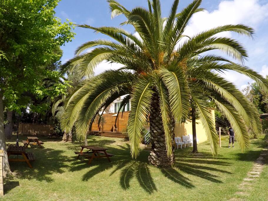 Parc