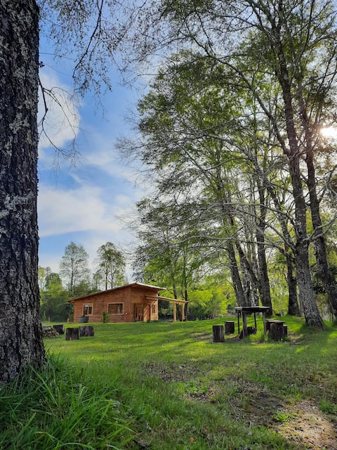 Cabin with tinaja in Colico on the banks of the river