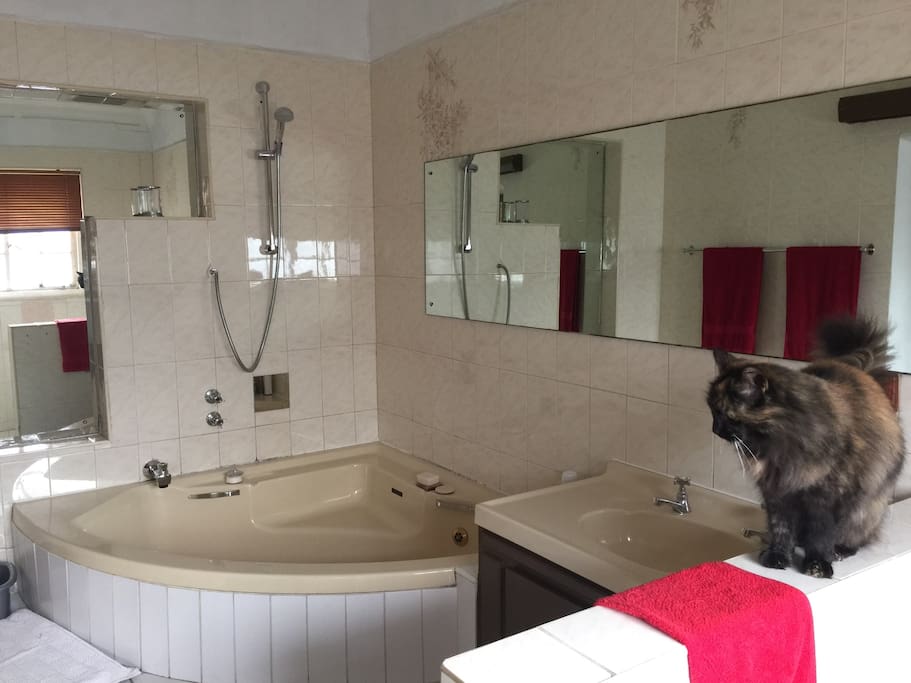 Bath & shower