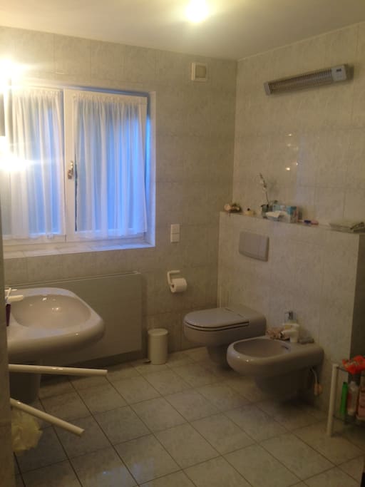 The bathroom. The bathroom will be used only by the guests during their stay