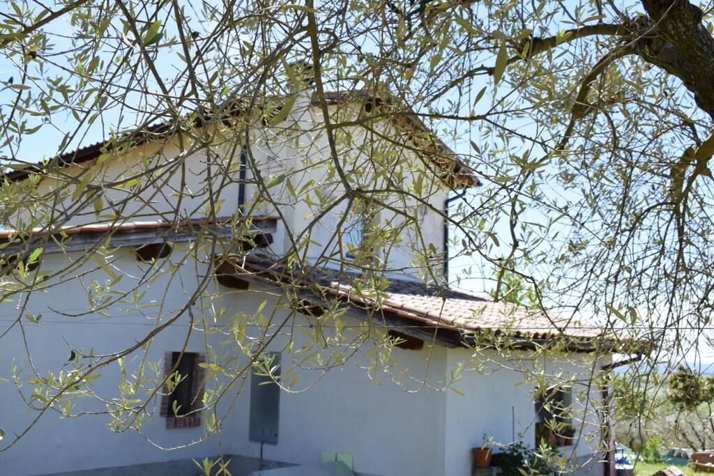 casa - house