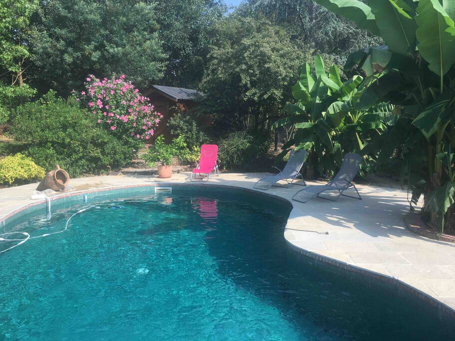 Piscine avec coins ombragés