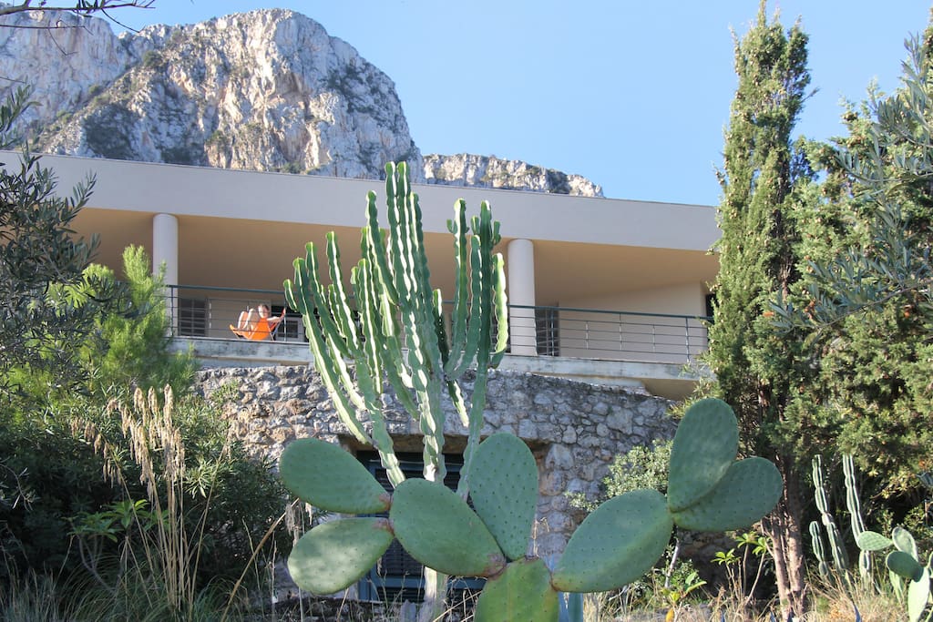 THE MAIN FACADE FROM THE GARDEN