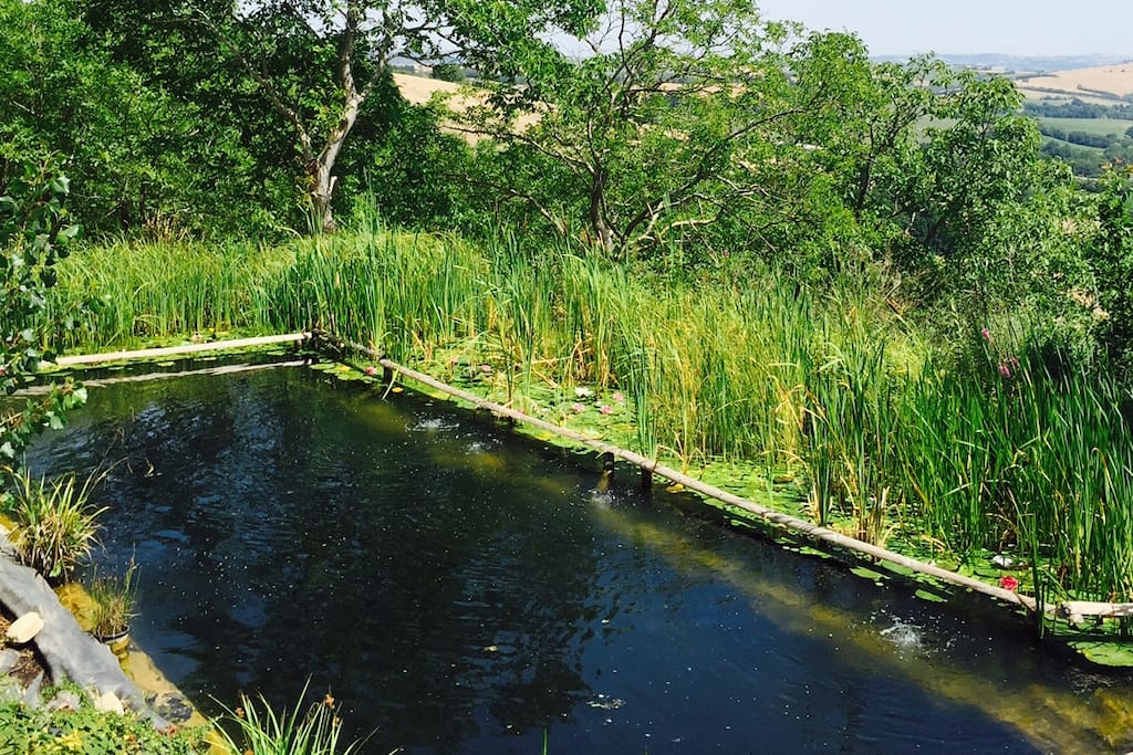 Our wonderful natural swimming pool