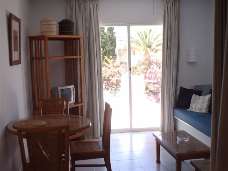 Salón con salida a la terraza