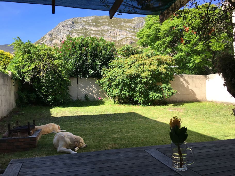 Nice mountain views from the front garden. There is a built-in braai (BBQ) in the front garden and a Weber braai on wheels. The house is pet-friendly :)