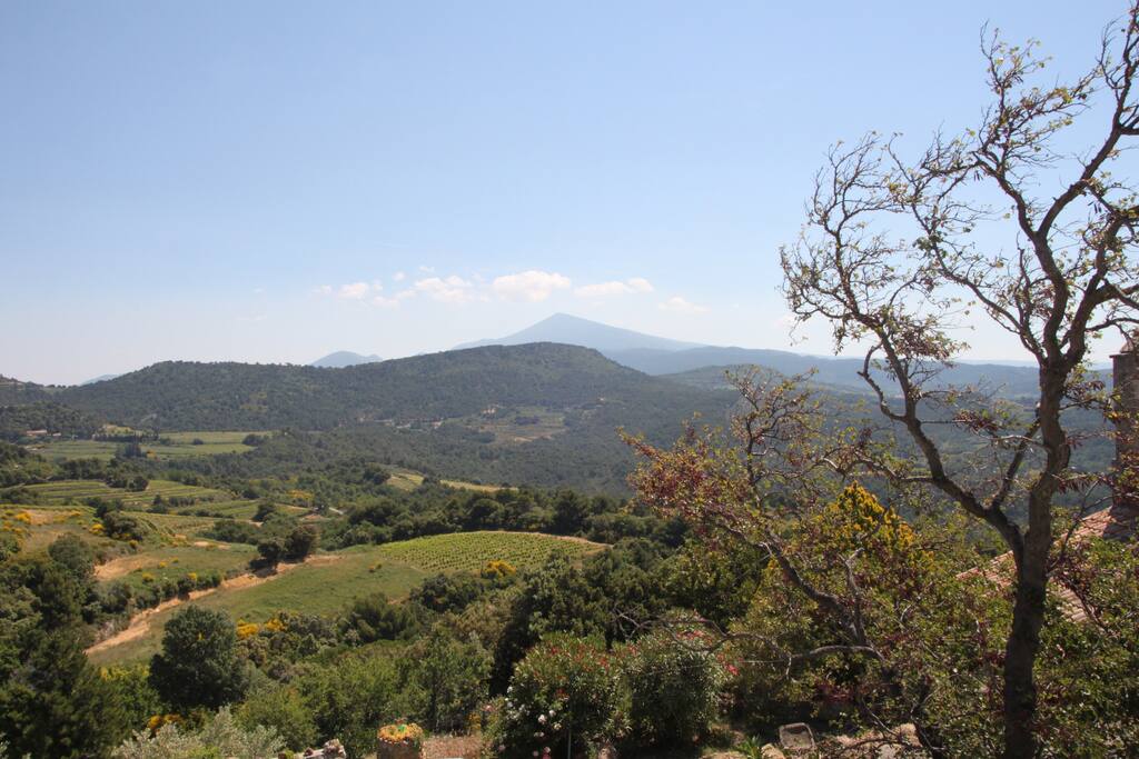 vue depuis la terrasse du 1er étage