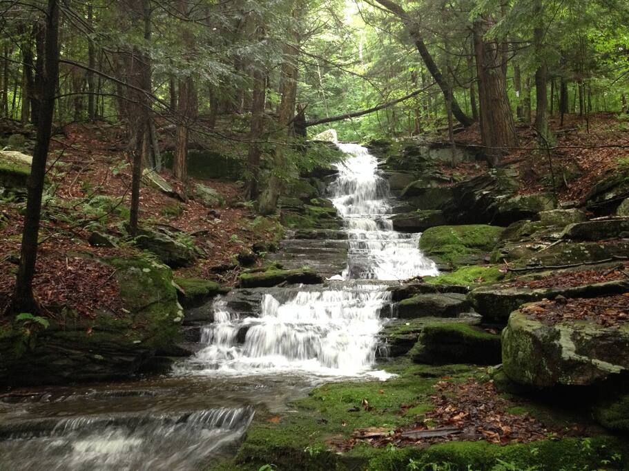 Waterfalls surrounded by hemlocks. Hike along the cascading waters. (Level of flow depends on rain/season, shown here in springtime).