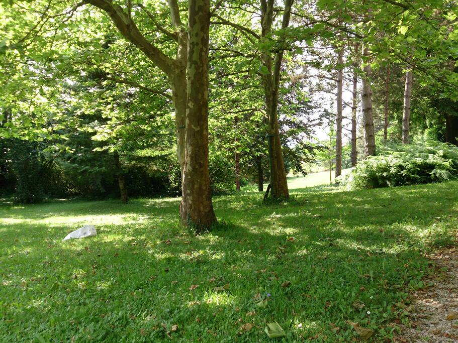 parc d'un hectare