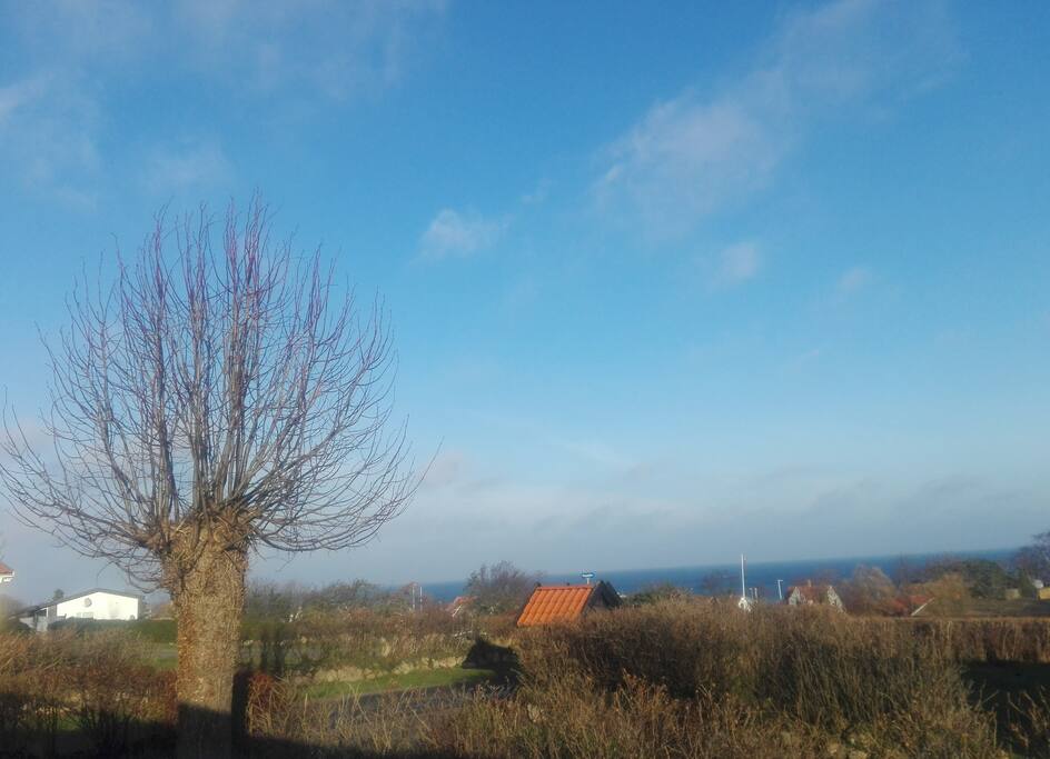 Seaview from the terrace