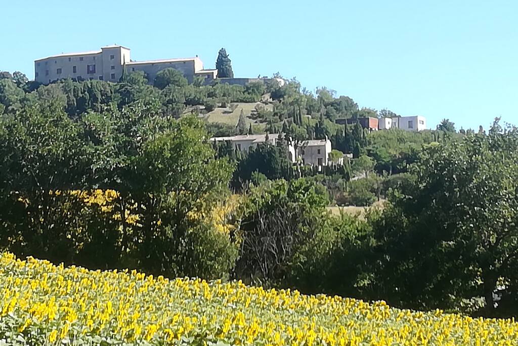 panorama