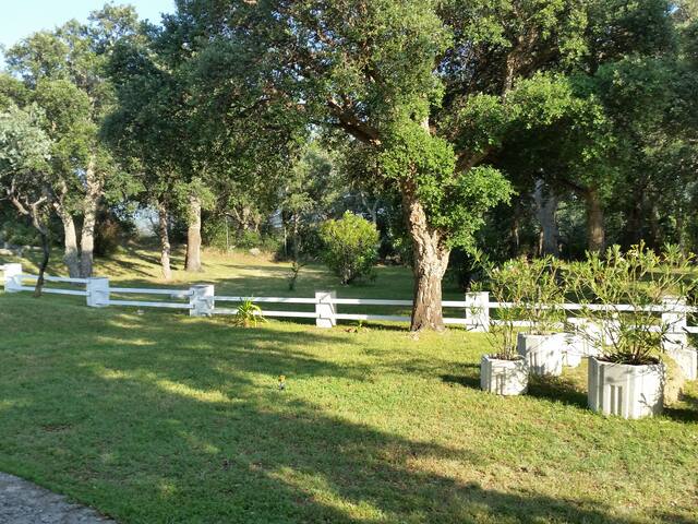 ALT EMPORDA- NORD ESPAGNE-PROCHE COSTA BRAVA