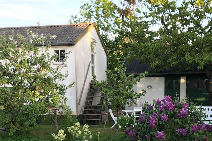 Idyllic Møllehuset - Peace & Quiet Close to Lynæs Havn