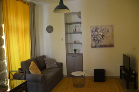 Top performing Airbnb: M&A-Lovely flat in city center with garden in Mjesni Odbor Brajda Dolac