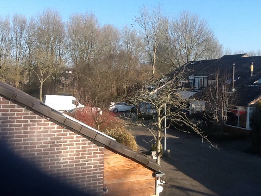 Het nabij gelegen park