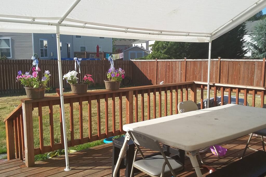 The deck and back yard.