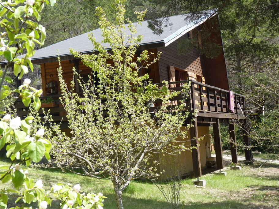 Chalet sur 2000 m2, en lisière de fôret.