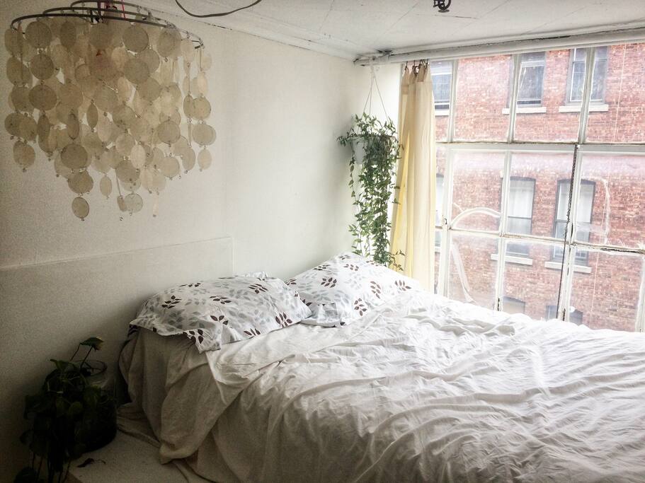 a super comfy bed right by the window