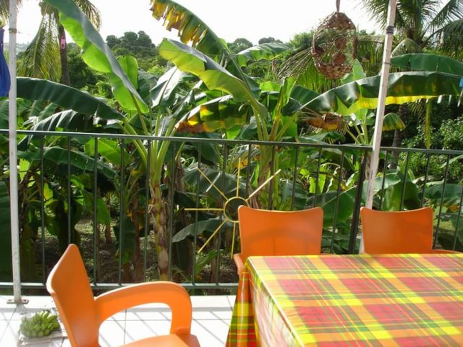 terrasse
