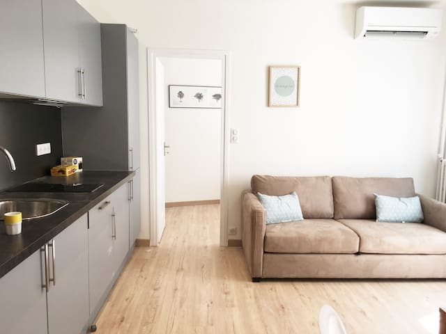 Cosy and Renovated 1 bedroom Negresco Area