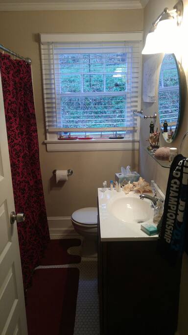 Guest bath is shared with other guests. I provide towels, shampoo, soap, and conditioner.
