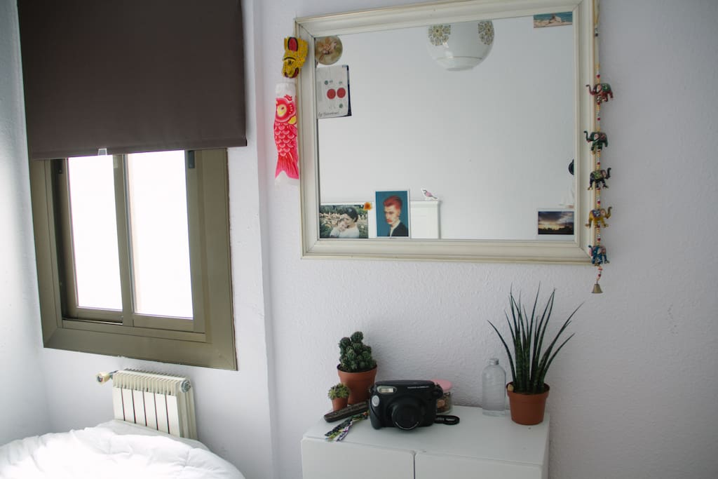 Here you can see there is a lot of natural light