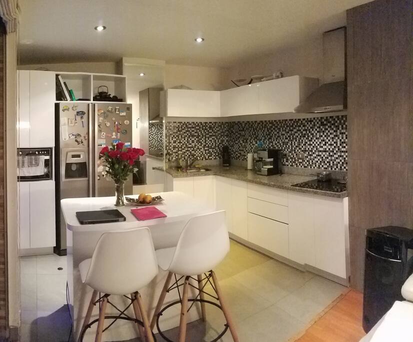 open kitchen with big terrazz access